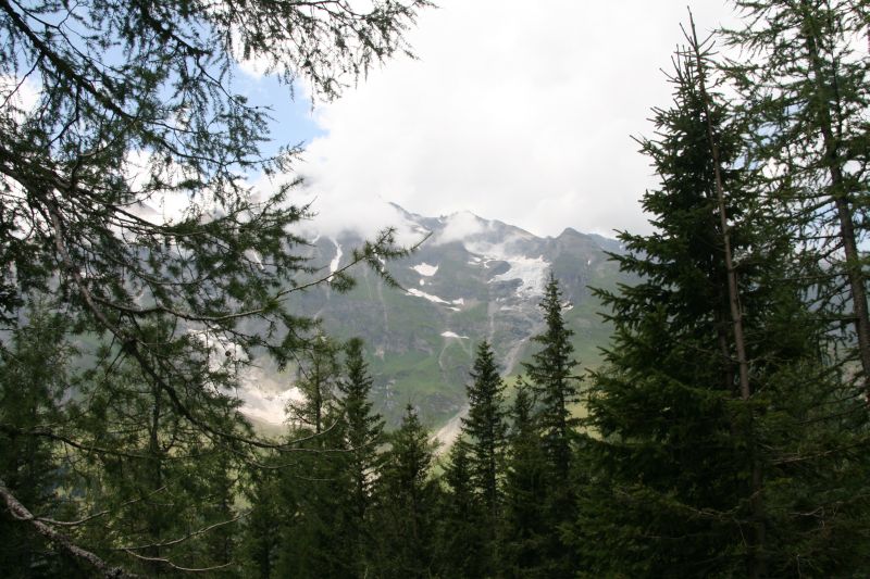 Feuerstuhl glockner035.jpg