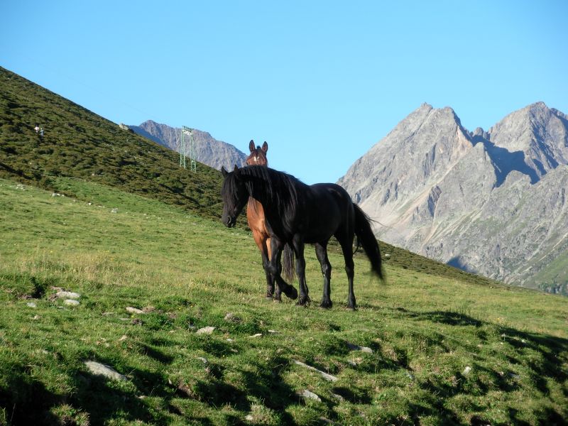 Feuerstuhl kuehtaisattel_060.jpg